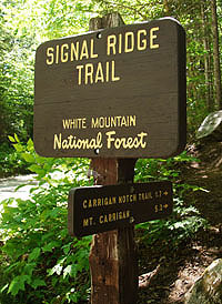 signal ridge trail mount carrigain, carrigain notch trail NH new hampshire